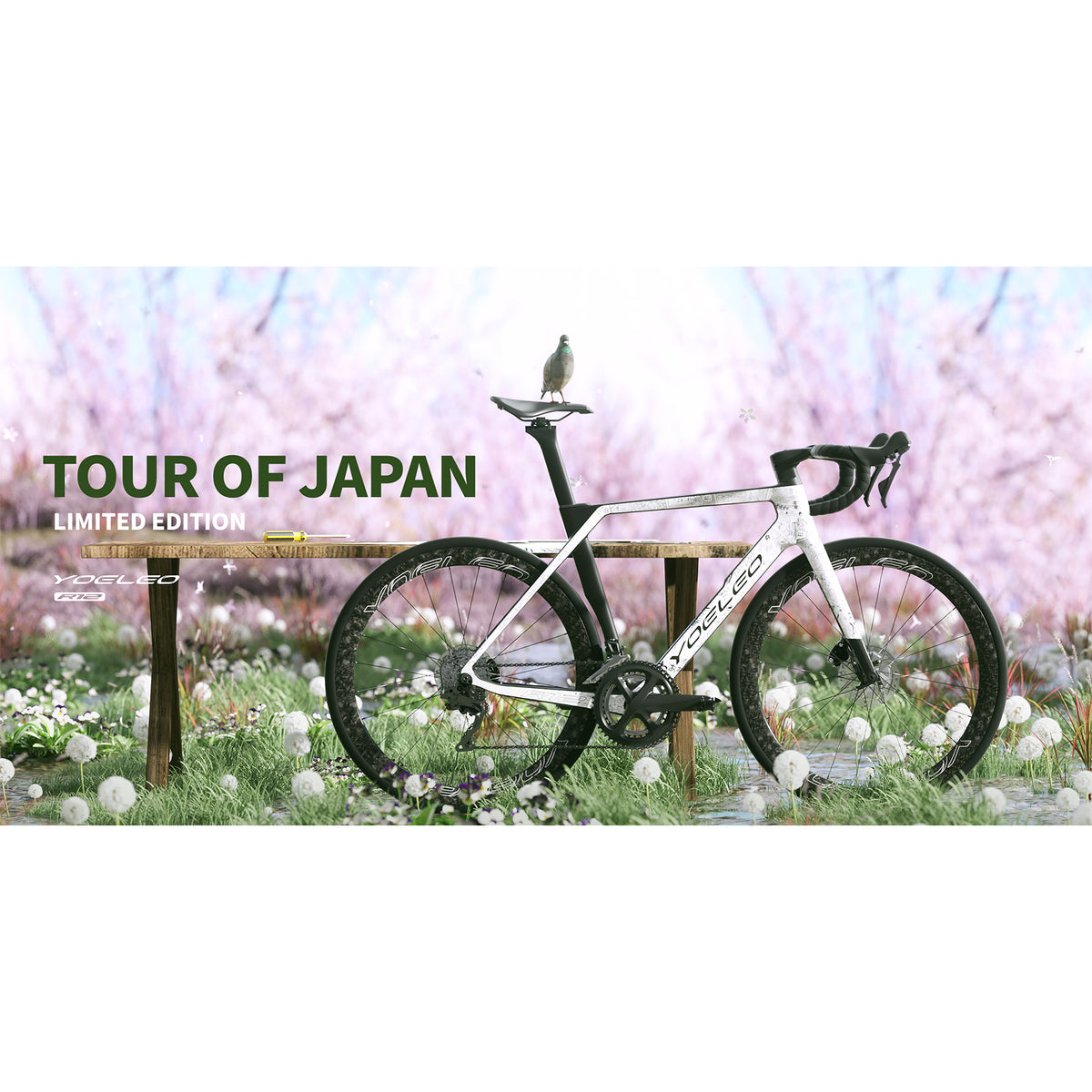 R12 DB TOUR OF JAPAN 特別限定版 フレームセット – Yoeleo Japan