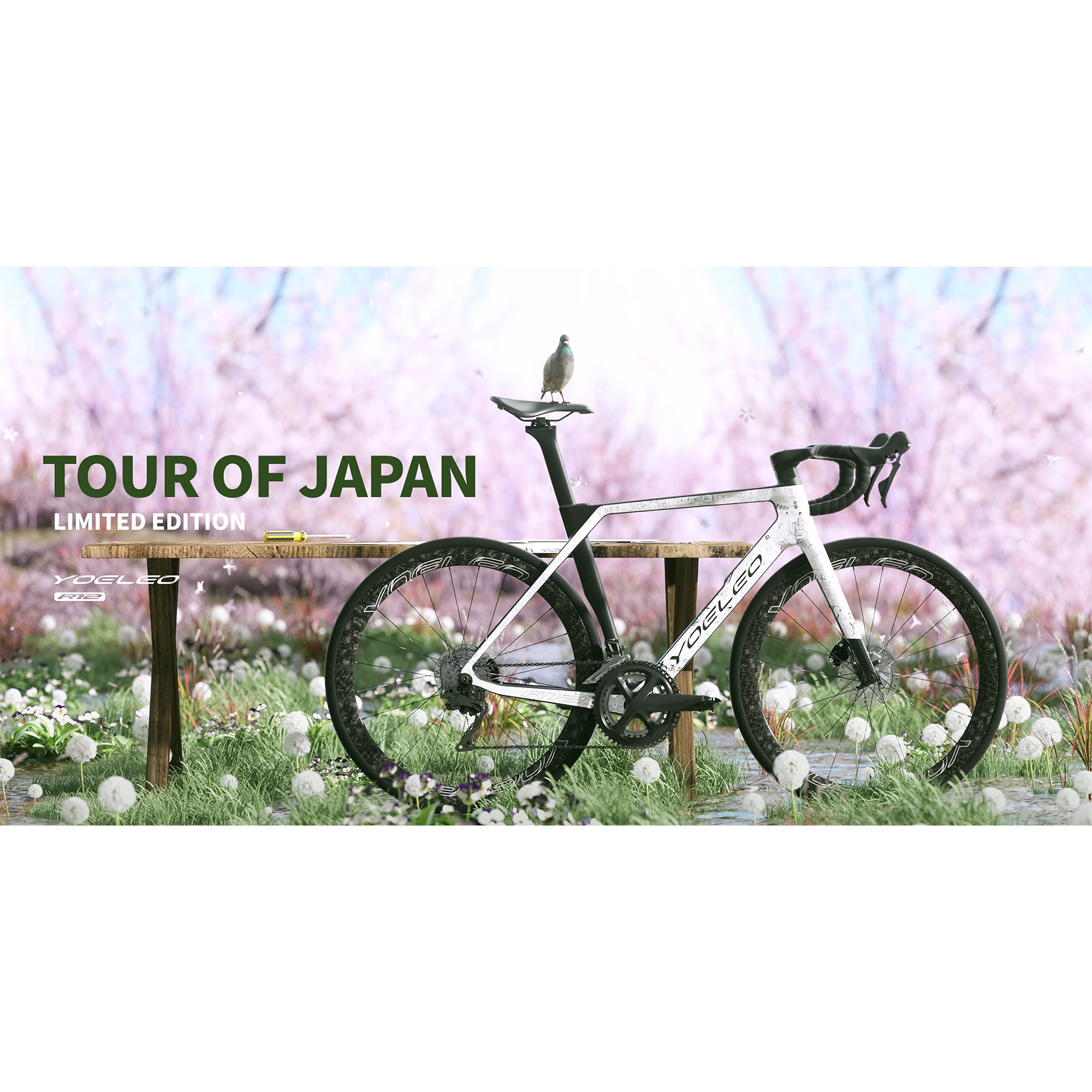 R12 DB TOUR OF JAPAN 特別限定版 フレームセット